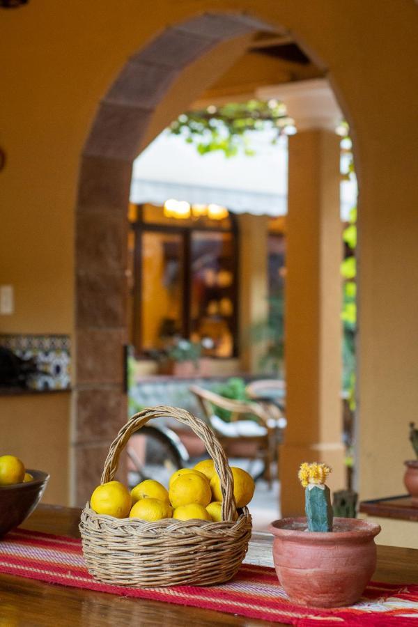 Villa Vicuna Cafayate Boutique Hotel Exterior photo