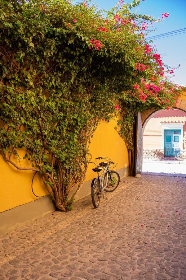 Villa Vicuna Cafayate Boutique Hotel Exterior photo