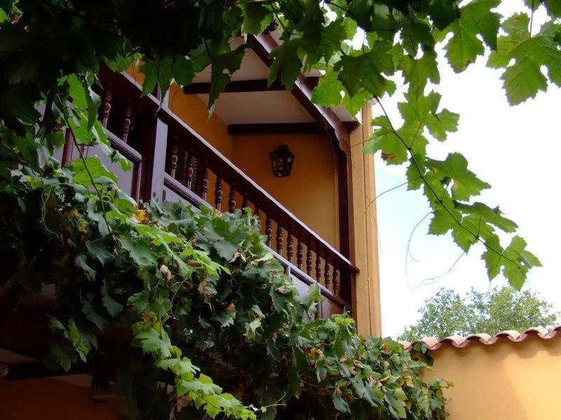 Villa Vicuna Cafayate Boutique Hotel Exterior photo